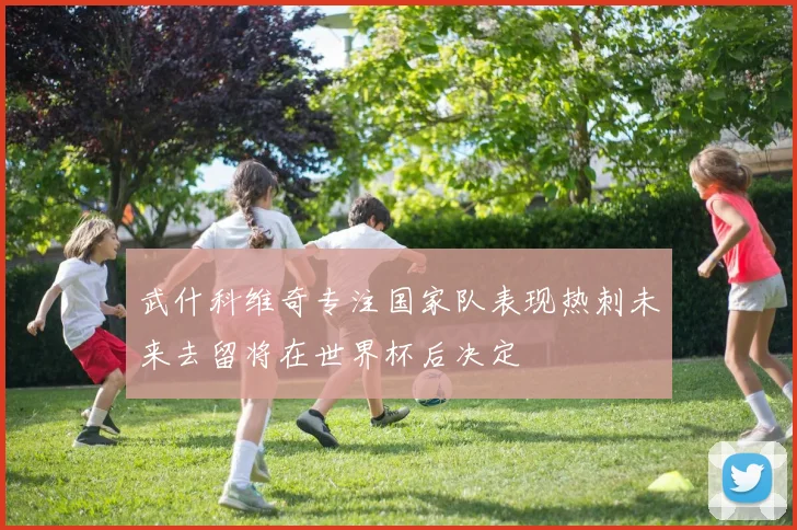 武什科维奇专注国家队表现热刺未来去留将在世界杯后决定
