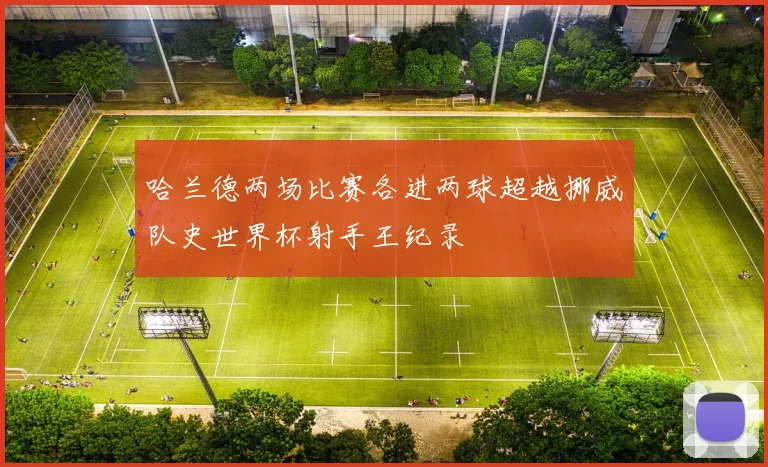 哈兰德两场比赛各进两球超越挪威队史世界杯射手王纪录